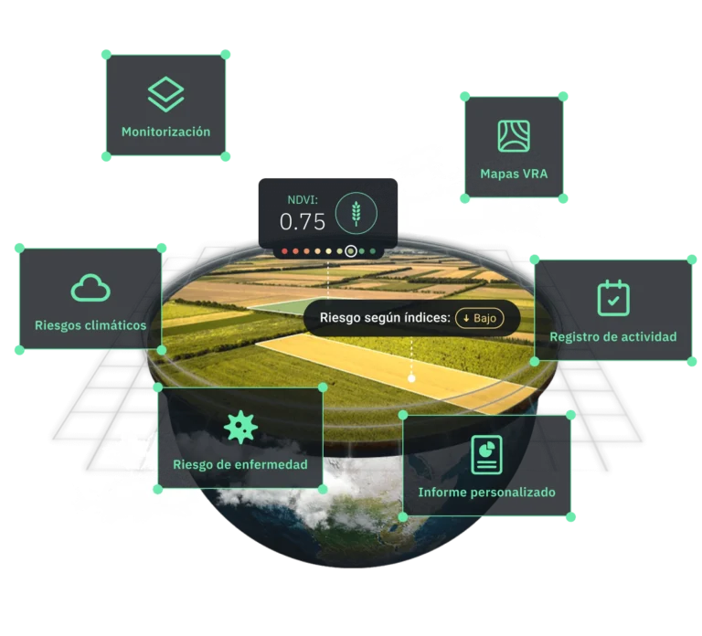 Semáforo de Cosecha con CropVista: Optimiza tus Decisiones de Campo